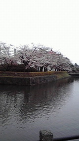 2010042010560001