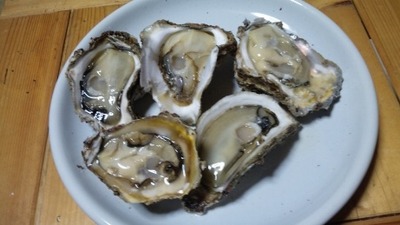 201007牡蠣