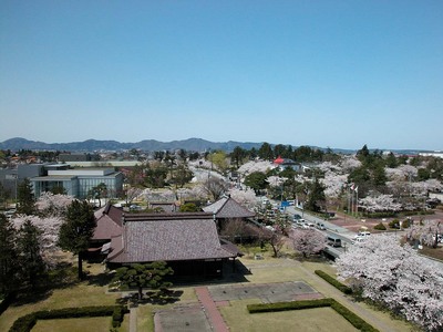 鶴岡公園付近