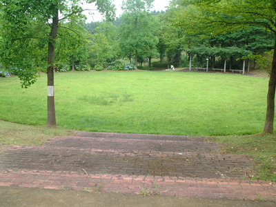 DSCF0217