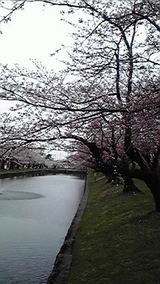 2010042010530001