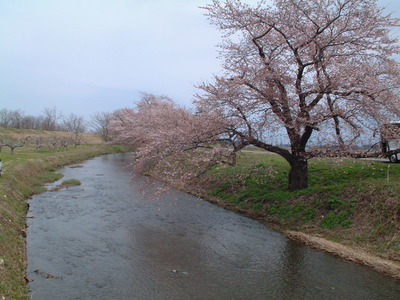 DSCF0092