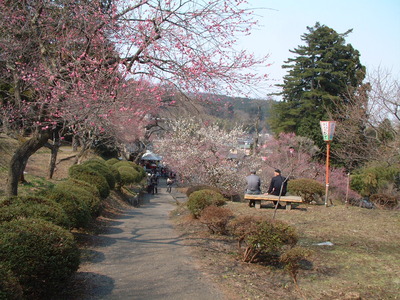 DSCF0031