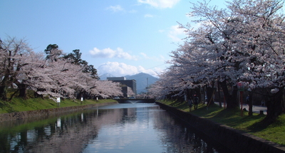 20100424鶴岡公園2