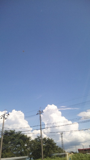 DVC00048~