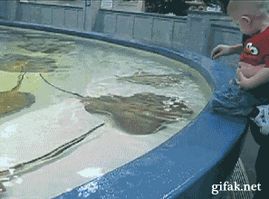 http://livedoor.blogimg.jp/weapon6666-pekepon/imgs/2/f/2f094134.gif