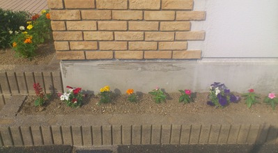 花壇