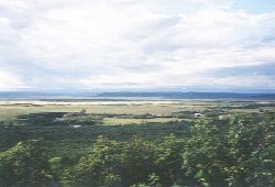 釧路湿原だよ