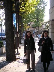 陽子と晶子