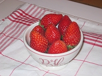 ¤½¤Î¤Þ¤Þ¤Ç¤â¡£