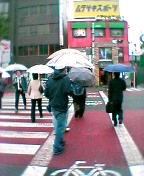 雨