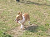 多摩川にて