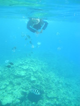 海