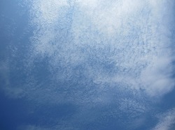 IMG_5951