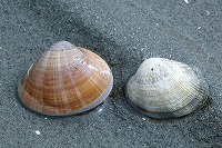 s-DSC_0023