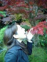 紅葉@てのり