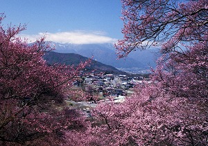 s-公園から城下展望