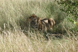 P6300074