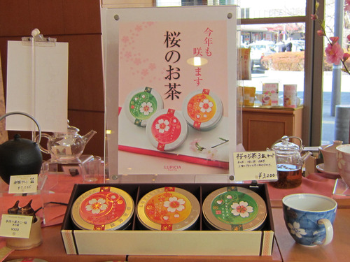 桜のお茶