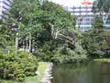 Åݤ줿ÌÚ¡¦¡¦¡¦¡£