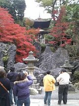 紅葉@多宝塔