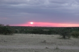 P6290034