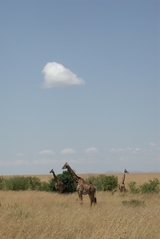 P6300083
