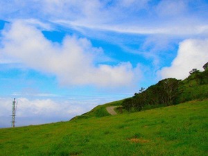 futta1144m