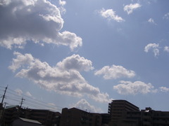 P1010077