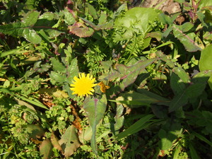 P3250281