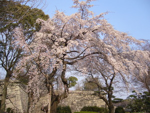 P1010213