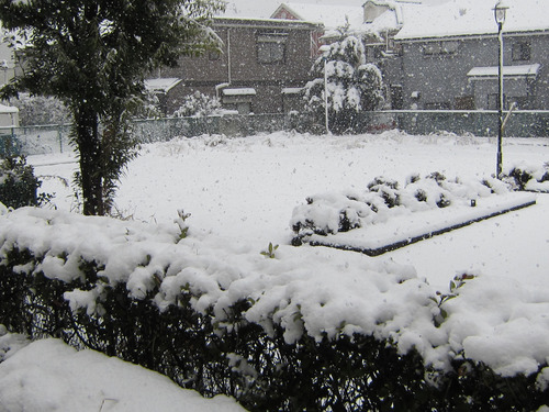 雪景色 29日11