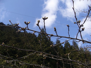 P1010128