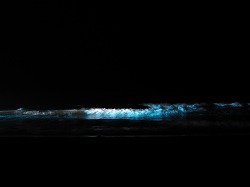 IMG_6041