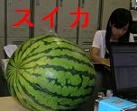¸¦µæ¼¼¤Î¥¹¥¤¥«