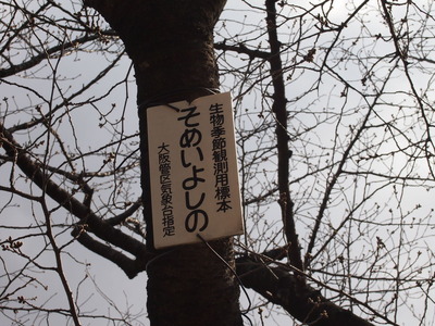 P3250270