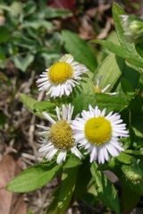 P1040882
