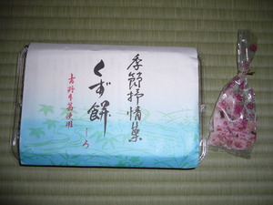 P1010146