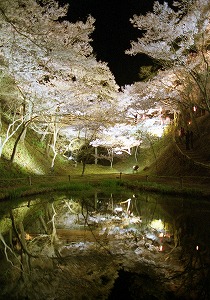 s-高遠公園夜景3
