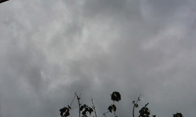 e17140ef.JPG