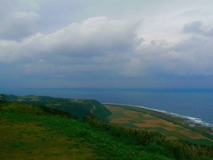 futta1356m