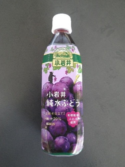IMGP2279