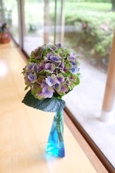 DSCF4246 (2)