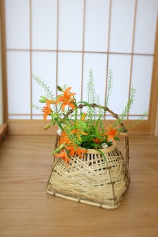 DSCF4698 (2)