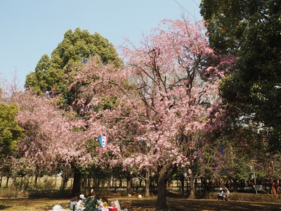 P3280313