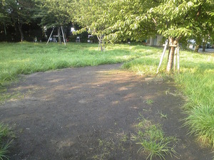 DVC00027