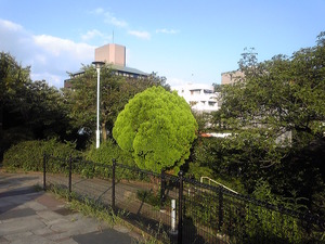 DVC00036