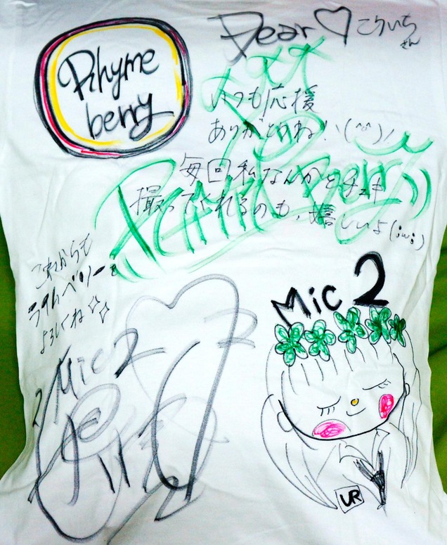 re_20130616_tshirt