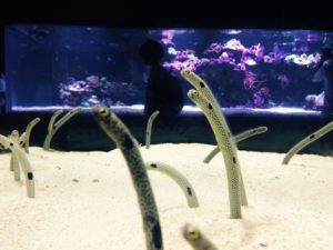 img_5545