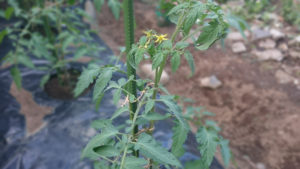 20160529_163631.jpg